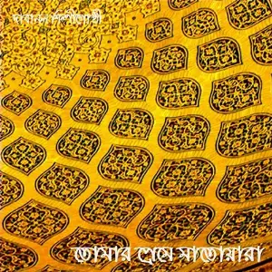 Tomer Preme Matoara image