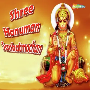 Shree Hanuman Sankatmochan image