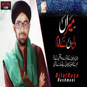 Meeran Waliyon Ke Imam - Single image