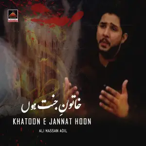 Khatoon e Jannat Hoon image