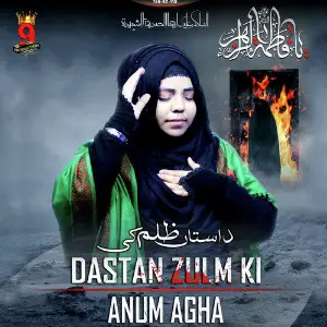 Dastan Zulm Ki - Single image