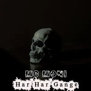 Har Har Gange image