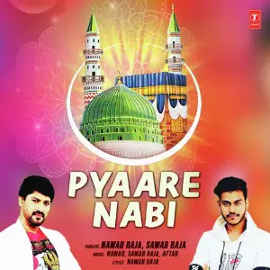 Pyaare  Nabi image