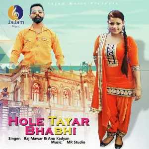 Hole Tayar Bhabhi image