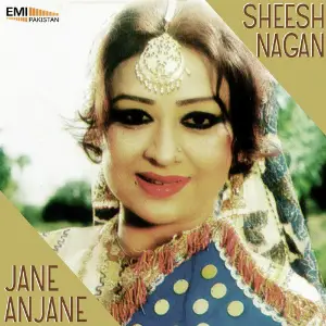 Sheesh Nagan  Jane Anjane image