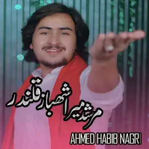 Murshid Mera Shehbaz Qalandar image