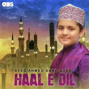 Haal E Dil - Single image