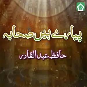 Pyare Hain Sahaba image