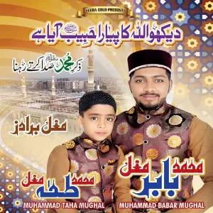 Dekho Allah Ka Pyara Habib Aaya Hai image