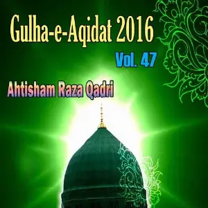 Gulha-e-Aqidat 2016, Vol. 47 image