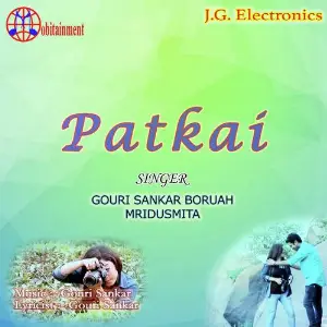 Patkai image