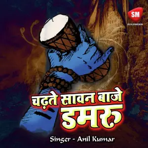 Chadhte Sawan Baje Damru image