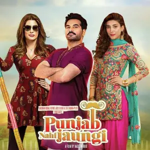 Punjab Nahi Jaungi image