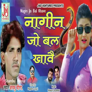 Nagin Jo Bal Khave image