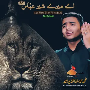 Aye Mere Sher Abbas (a.s) image