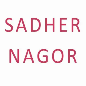 Sadher Nagor image