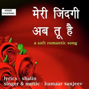 Meri Zindagi Ab Tu Hai image