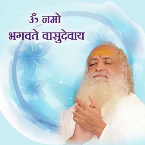 Om Namo Bhagavate Vasudevay image