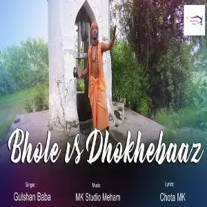 Bhole Vs Dhokhebaaz image