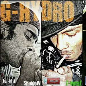 DESI HIP HOP image