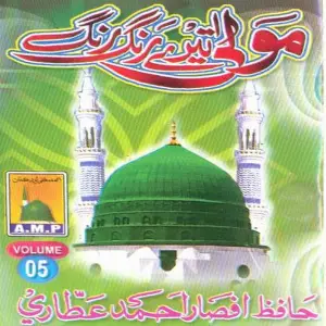 Maula Tere Rang Rang, Vol. 5 image