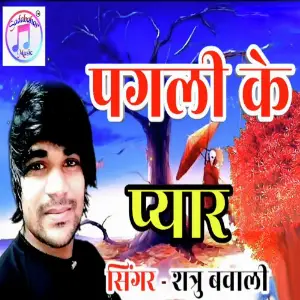Pagli Ke Peyar image