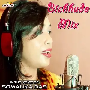 Bichhudo Mix image