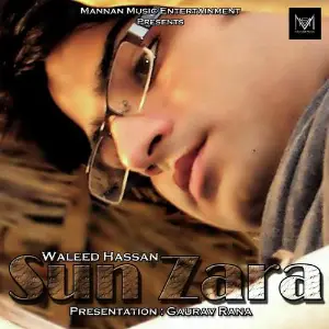 T-Series Mixtape Waleed Hassan