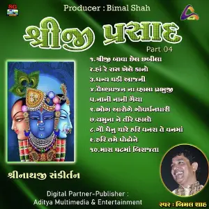 Shreeji Prasad-Shreenathji Sankirtan Pt.04 image