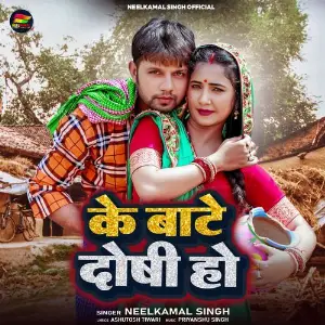 Ke Bate Doshi Ho image