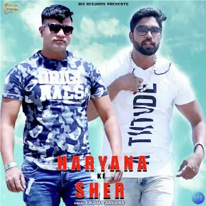 Haryana Ke Sher image