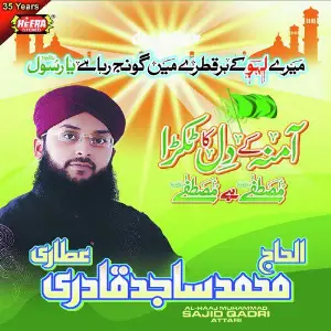 Amina Ke Dil Ka Tukra Mustafa Hai image