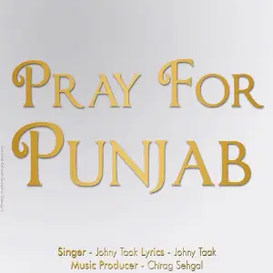 Pray For Punjab image