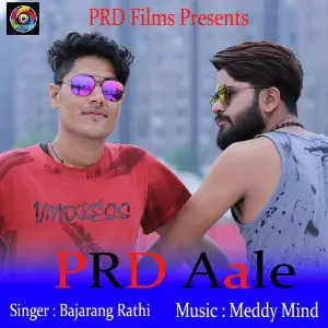 PRD Aale image