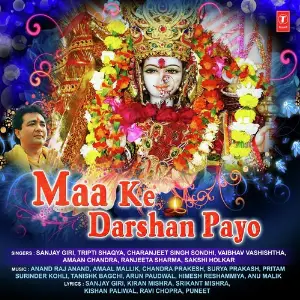Maa Ke Darshan Payo image
