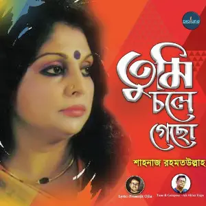 Tumi Chole Gecho image