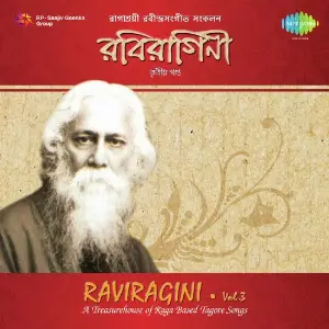 Raviragini 3 - Vol. 4 image