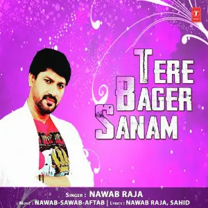 Tere Bager Sanam image