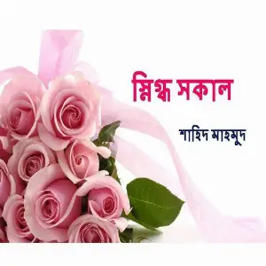 Sinikdho Sakal image