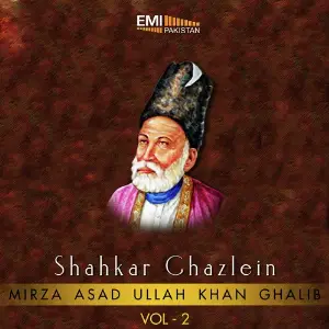 Shahkar Ghazlein, Vol. 2 image