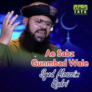 Ae Sabz Gunmbad Wale image