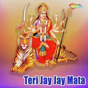 Teri Jay Jay Mata image
