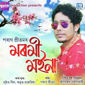 Moromi Moina image