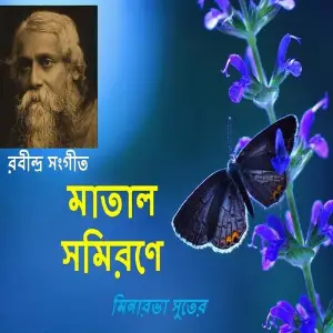 Matal Somirone image