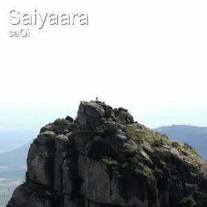 Saiyaara image