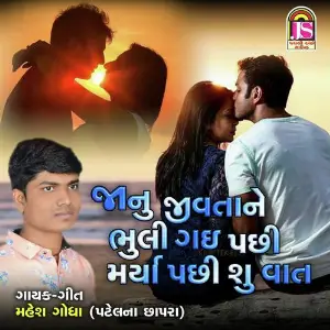 Janu Jivata Ne Bhuli Gai Pachi Marya Pachi Su Vat image