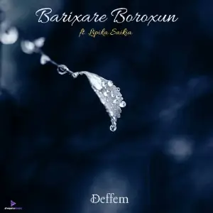 Barixare Boroxun image