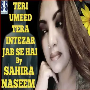 Teri Umeed Tera Intezar Jab Se Hai - Single image
