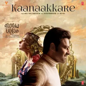 Kaanaakkare (From Radhe Shyam) image