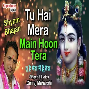 Tu Hai Mera Main Hoon Tera image